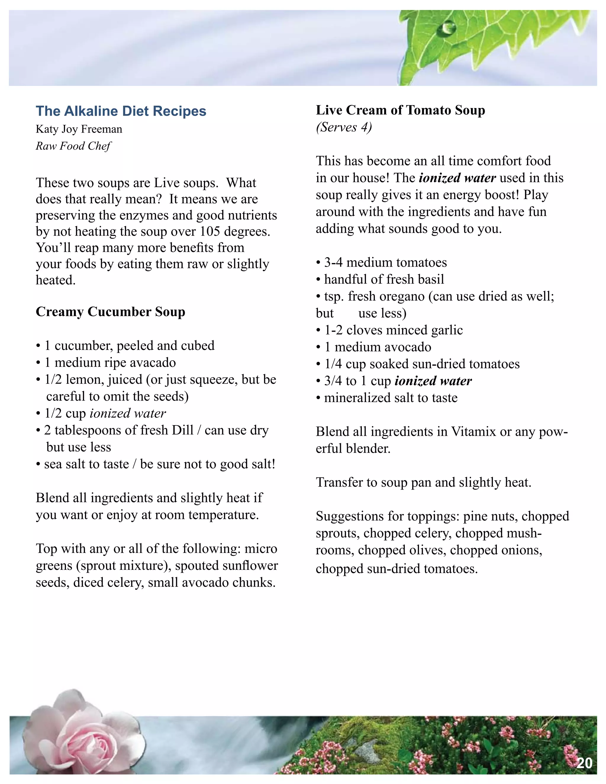 Alkalize And Detoxify For Life