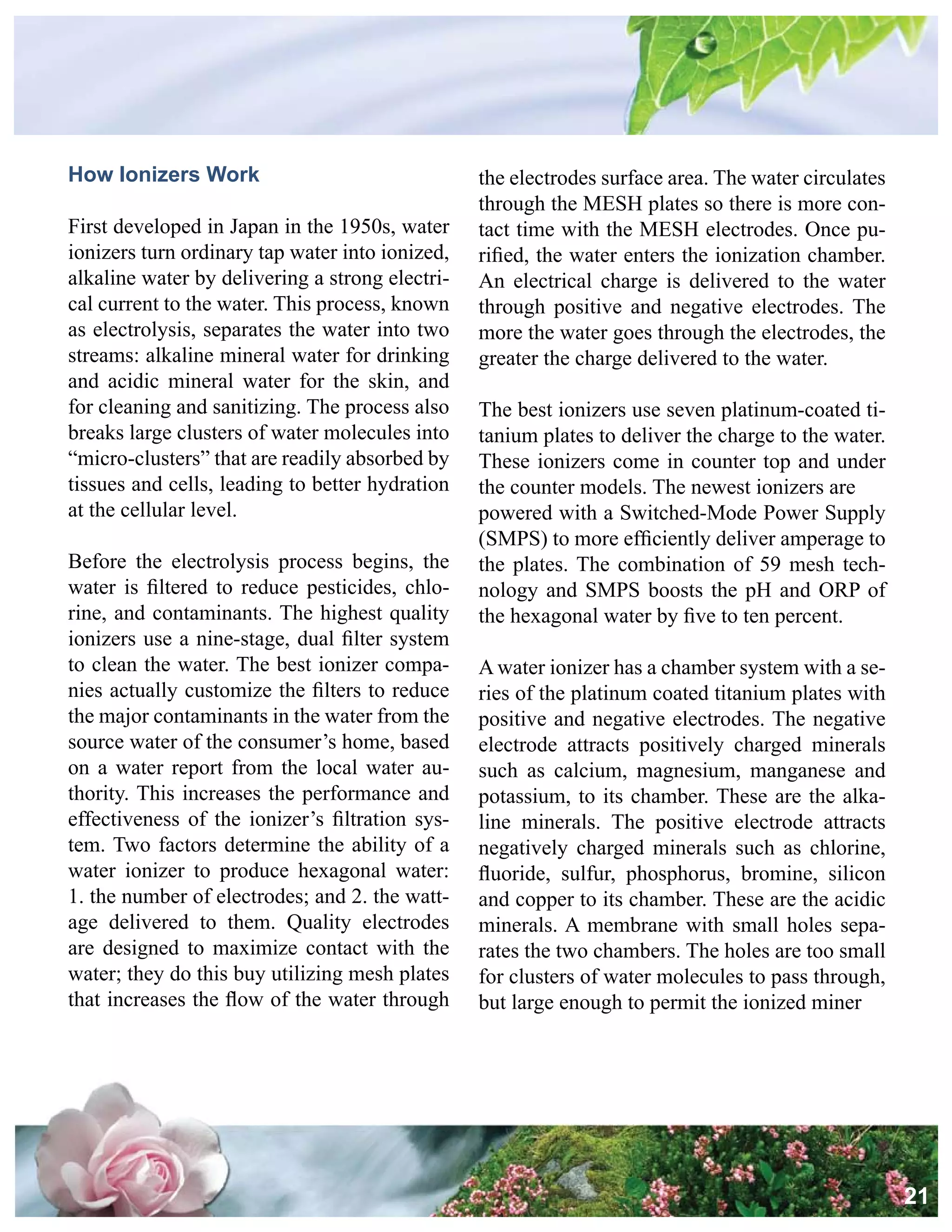 Alkalize And Detoxify For Life