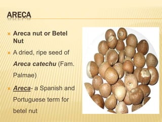 ARECA
 Areca nut or Betel
Nut
 A dried, ripe seed of
Areca catechu (Fam.
Palmae)
 Areca- a Spanish and
Portuguese term for
betel nut
 