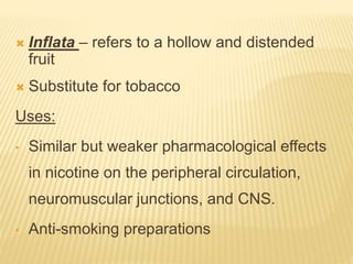  Inflata – refers to a hollow and distended
fruit
 Substitute for tobacco
Uses:
• Similar but weaker pharmacological effects
in nicotine on the peripheral circulation,
neuromuscular junctions, and CNS.
• Anti-smoking preparations
 