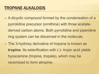 TROPANE ALKALOIDS
 A dicyclic compound formed by the condensation of a
pyrrolidine precursor (ornithine) with three acetate-
derived carbon atoms. Both pyrrolidine and piperidine
ring system can be discerned in the molecule.
 The 3-hydroxy derivative of tropane is known as
tropine. Its esterification with (-)- tropic acid yields
hyoscamine (tropine, tropate), which may be
racemized to form atropine.
 