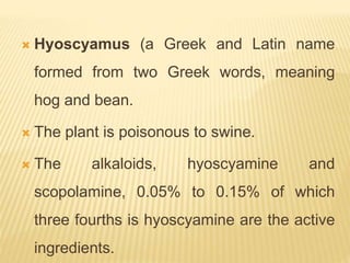  Hyoscyamus (a Greek and Latin name
formed from two Greek words, meaning
hog and bean.
 The plant is poisonous to swine.
 The alkaloids, hyoscyamine and
scopolamine, 0.05% to 0.15% of which
three fourths is hyoscyamine are the active
ingredients.
 