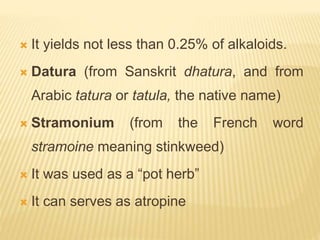  It yields not less than 0.25% of alkaloids.
 Datura (from Sanskrit dhatura, and from
Arabic tatura or tatula, the native name)
 Stramonium (from the French word
stramoine meaning stinkweed)
 It was used as a “pot herb”
 It can serves as atropine
 