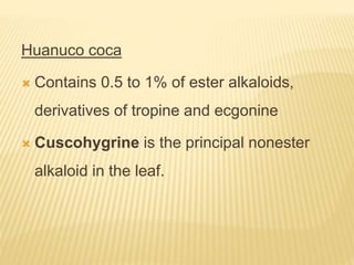 Huanuco coca
 Contains 0.5 to 1% of ester alkaloids,
derivatives of tropine and ecgonine
 Cuscohygrine is the principal nonester
alkaloid in the leaf.
 