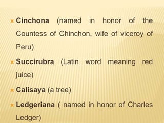  Cinchona (named in honor of the
Countess of Chinchon, wife of viceroy of
Peru)
 Succirubra (Latin word meaning red
juice)
 Calisaya (a tree)
 Ledgeriana ( named in honor of Charles
Ledger)
 