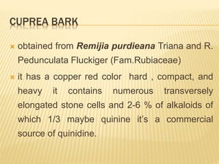 CUPREA BARK
 obtained from Remijia purdieana Triana and R.
Pedunculata Fluckiger (Fam.Rubiaceae)
 it has a copper red color hard , compact, and
heavy it contains numerous transversely
elongated stone cells and 2-6 % of alkaloids of
which 1/3 maybe quinine it’s a commercial
source of quinidine.
 