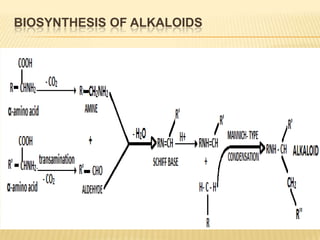 BIOSYNTHESIS OF ALKALOIDS
 