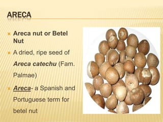 ARECA

   Areca nut or Betel
    Nut
   A dried, ripe seed of
    Areca catechu (Fam.
    Palmae)

   Areca- a Spanish and
    Portuguese term for
    betel nut
 