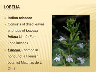 LOBELIA

   Indian tobacco
   Consists of dried leaves
    and tops of Lobelia
    inflata Linné (Fam.
    Lobeliaceae)

   Lobelia – named in
    honour of a Flemish
    botanist Matthias de L’
    Obel
 