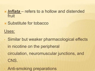   Inflata – refers to a hollow and distended
    fruit
   Substitute for tobacco
Uses:
•   Similar but weaker pharmacological effects
    in nicotine on the peripheral
    circulation, neuromuscular junctions, and
    CNS.
•   Anti-smoking preparations
 