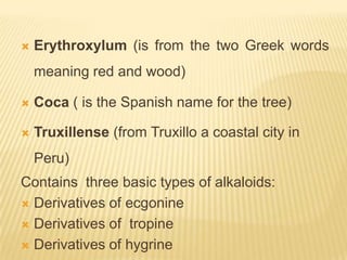    Erythroxylum (is from the two Greek words
    meaning red and wood)

   Coca ( is the Spanish name for the tree)

   Truxillense (from Truxillo a coastal city in
    Peru)
Contains three basic types of alkaloids:
 Derivatives of ecgonine

 Derivatives of tropine

 Derivatives of hygrine
 