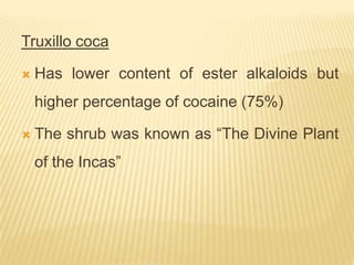 Truxillo coca

   Has lower content of ester alkaloids but
    higher percentage of cocaine (75%)

   The shrub was known as “The Divine Plant
    of the Incas”
 