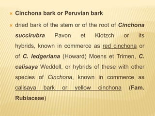    Cinchona bark or Peruvian bark

   dried bark of the stem or of the root of Cinchona
    succirubra    Pavon      et     Klotzch     or   its
    hybrids, known in commerce as red cinchona or
    of C. ledgeriana (Howard) Moens et Trimen, C.
    calisaya Weddell, or hybrids of these with other
    species of Cinchona, known in commerce as
    calisaya   bark   or   yellow    cinchona    (Fam.
    Rubiaceae)
 