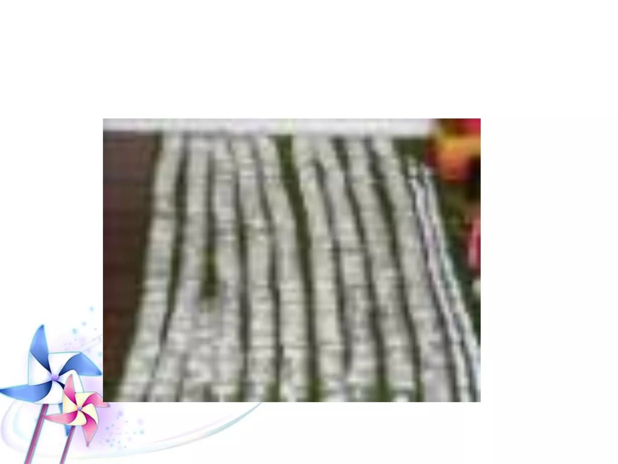 Heroin Body Packers Syndrome
• Body Packers (mules)
– Intentional swallowing or
storing the packets in
orifices to smuggle and
avoid authorities.
– Packets are well prepared
– More quantity
• Body Stuffers
– Hastily conceal illicit
packets in orifices
just prior detection
– Pakets are not well
prepared
– Less quantity
 