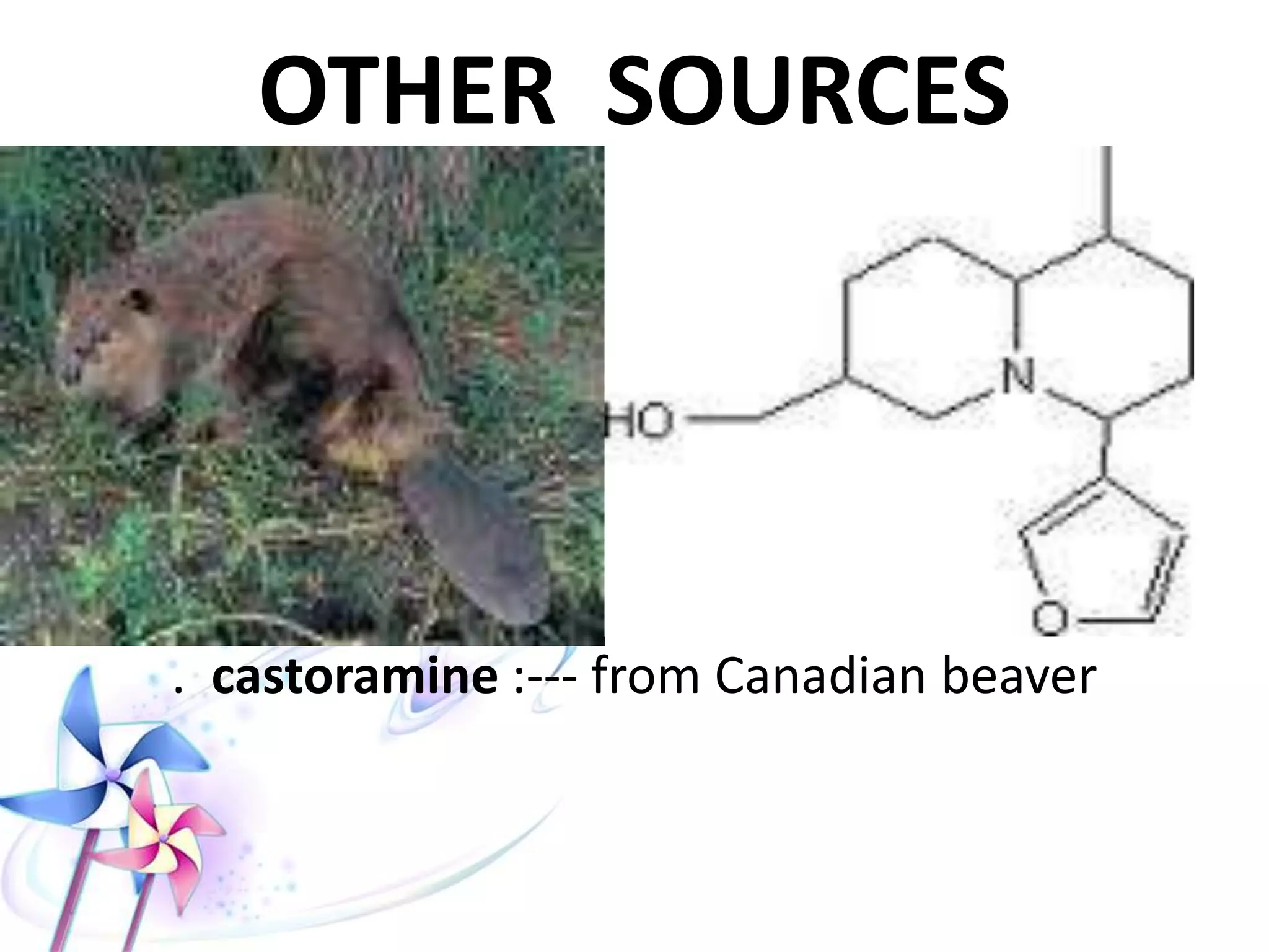 OTHER SOURCES
. castoramine :--- from Canadian beaver
 