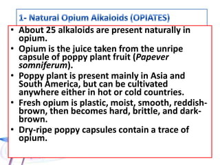 • About 25 alkaloids are present naturally in
opium.
• Opium is the juice taken from the unripe
capsule of poppy plant fruit (Papever
somniferum).
• Poppy plant is present mainly in Asia and
South America, but can be cultivated
anywhere either in hot or cold countries.
• Fresh opium is plastic, moist, smooth, reddish-
brown, then becomes hard, brittle, and dark-
brown.
• Dry-ripe poppy capsules contain a trace of
opium.
 