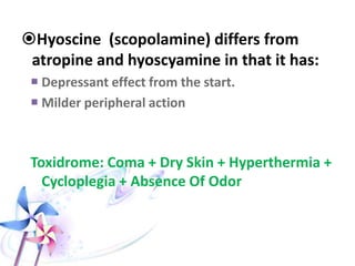 D. Stramonium unripe seeds
 