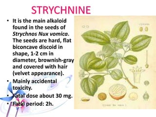 Postmortem Appearance
• No specific findings
 