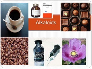 Alkaloids
 