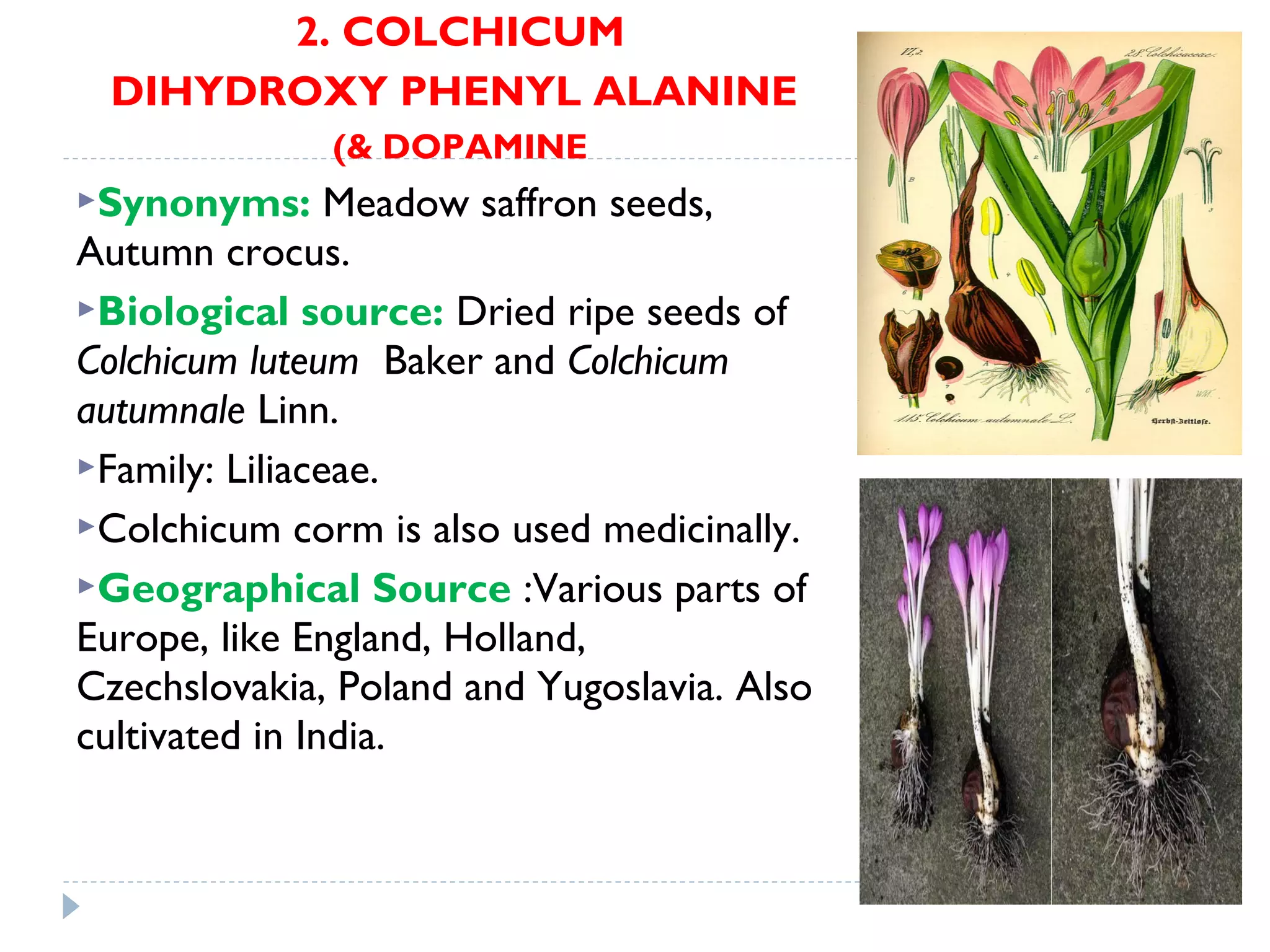 Alkaloids | PPT