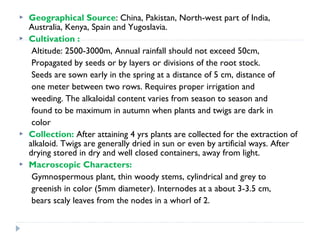 






Geographical Source: China, Pakistan, North-west part of India,
Australia, Kenya, Spain and Yugoslavia.
Cultivation :
Altitude: 2500-3000m, Annual rainfall should not exceed 50cm,
Propagated by seeds or by layers or divisions of the root stock.
Seeds are sown early in the spring at a distance of 5 cm, distance of
one meter between two rows. Requires proper irrigation and
weeding. The alkaloidal content varies from season to season and
found to be maximum in autumn when plants and twigs are dark in
color
Collection: After attaining 4 yrs plants are collected for the extraction of
alkaloid. Twigs are generally dried in sun or even by artificial ways. After
drying stored in dry and well closed containers, away from light.
Macroscopic Characters:
Gymnospermous plant, thin woody stems, cylindrical and grey to
greenish in color (5mm diameter). Internodes at a about 3-3.5 cm,
bears scaly leaves from the nodes in a whorl of 2.

 
