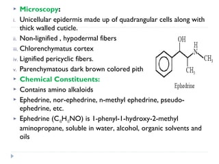 Microscopy:
i. Unicellular epidermis made up of quadrangular cells along with
thick walled cuticle.
ii. Non-lignified , hypodermal fibers
iii. Chlorenchymatus cortex
iv. Lignified pericyclic fibers.
v. Parenchymatous dark brown colored pith
 Chemical Constituents:
 Contains amino alkaloids
 Ephedrine, nor-ephedrine, n-methyl ephedrine, pseudoephedrine, etc.
 Ephedrine (C10H15NO) is 1-phenyl-1-hydroxy-2-methyl
aminopropane, soluble in water, alcohol, organic solvents and
oils


 