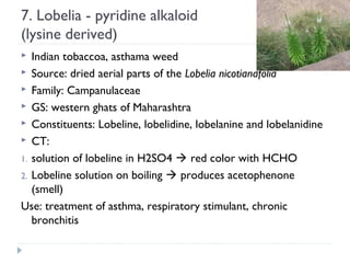 7. Lobelia - pyridine alkaloid
(lysine derived)
Indian tobaccoa, asthama weed
 Source: dried aerial parts of the Lobelia nicotianafolia
 Family: Campanulaceae
 GS: western ghats of Maharashtra
 Constituents: Lobeline, lobelidine, lobelanine and lobelanidine
 CT:
1. solution of lobeline in H2SO4  red color with HCHO
2. Lobeline solution on boiling  produces acetophenone
(smell)
Use: treatment of asthma, respiratory stimulant, chronic
bronchitis


 