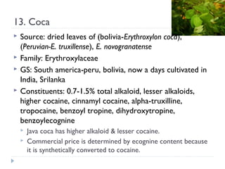 13. Coca





Source: dried leaves of (bolivia-Erythroxylon coca),
(Peruvian-E. truxillense), E. novogranatense
Family: Erythroxylaceae
GS: South america-peru, bolivia, now a days cultivated in
India, Srilanka
Constituents: 0.7-1.5% total alkaloid, lesser alkaloids,
higher cocaine, cinnamyl cocaine, alpha-truxilline,
tropocaine, benzoyl tropine, dihydroxytropine,
benzoylecognine



Java coca has higher alkaloid & lesser cocaine.
Commercial price is determined by ecognine content because
it is synthetically converted to cocaine.

 