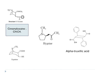 Cinnamylcocaine: .
CH:CH.

Alpha-truxillic acid

 