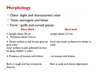 Morphology




Odor: slight and characteristic odor
Taste: astringent and bitter
Form : quills and curved pieces.
Stem Bark

1. Length about 30 cm
2. Thickness about 2-6 cm

Root bark
Length about 2-7 cm

3. Outer surface is dull brown grey or Inner and outer surfaces are similar in
grey color,
color
inner surface is pale yellowish-brown
to deep reddish in color.
4. Presence of mosses and lichens

no mosses and lichens

Bark is rough and has transverse
fissures

Bark is scaly and shows depression.

 