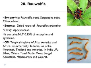 20. Rauwolfia
Synonyms:

Rauwolfia root, Serpentina root,

Chhotachand.
Source: Dried roots of Rauwolfia serpentina
Family: Apocynaceae.
It contains NLT 0.15% of reserpine and
ajmalcine.
GS: Tropical regions of Asia, America and
Africa. Commercially, In India, Sri lanka,
Myanmar, Thailand and America. In India UP,
Bihar, Orissa, Tamil Nadu, West Bengal,
Karnataka, Maharashtra and Gujarat.

 