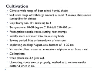 Cultivation














Climate: wide range of, best suited humid, shade
Soil: wide range of with large amount of sand  makes plants more
susceptible for disease
Clay: loamy soil, pH: acidic up to 4
Temperature: 10-38 degree C, Rainfall: 250-500 cm
Propagation: seeds, roots, cutting, root stumps
Initially seeds are sown into the nursery beds.
Sowing period: May or breakdown of monsoon
Implanting seedling: August, at a distance of 16-30 cm
Various fertilizer, manures: ammonium sulphate, urea, bone meal.
Collection:
when plants are 3-4 year old.
Uprooting, roots are cut properly, washed as to remove earthy
matter & dried in air.

 