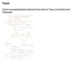 Taxol
Taxol is psuedoalkaloid obtained from bark of Taxus bravifolia,Fam:
Taxaceae
 