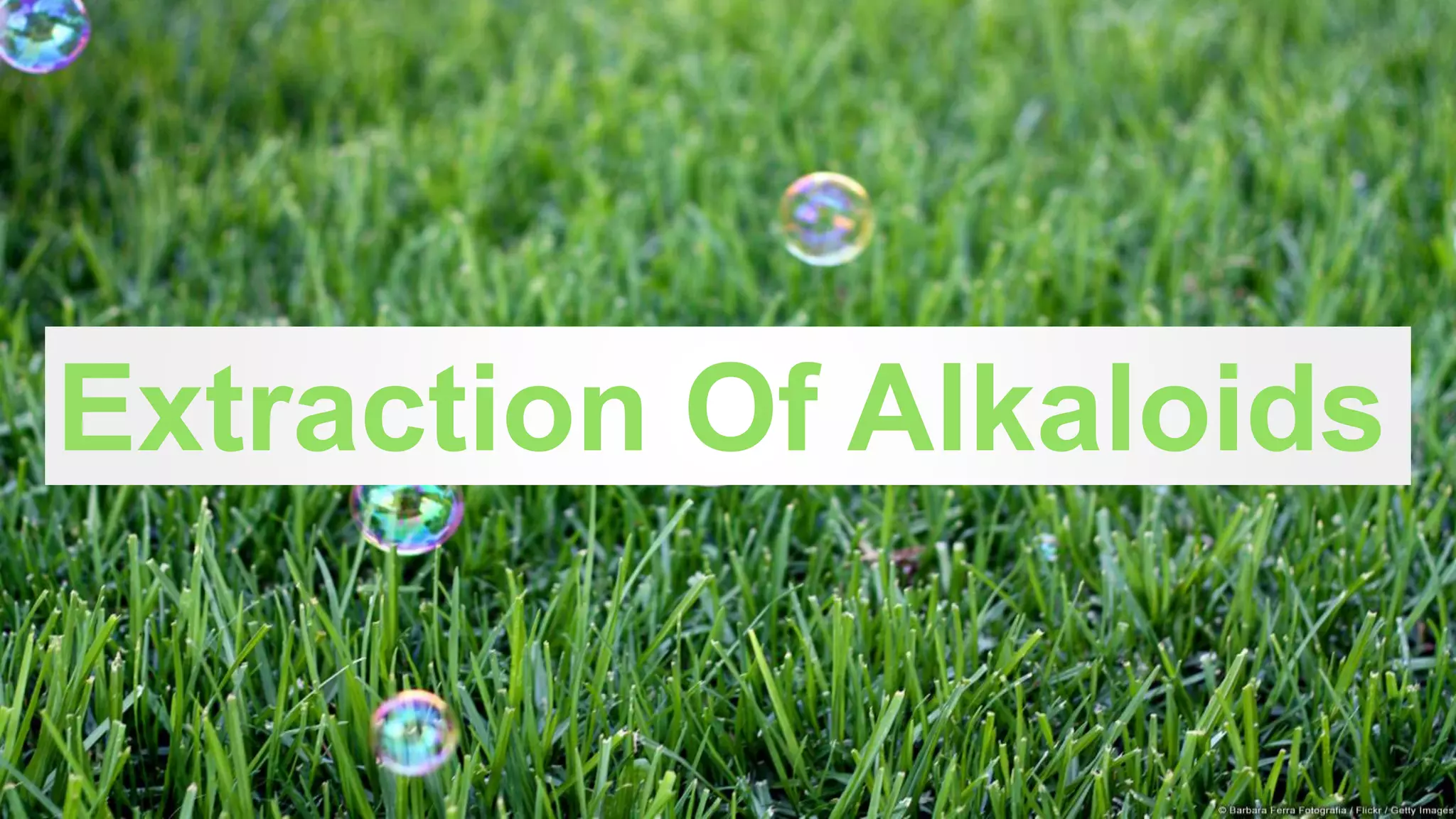 Extraction Of Alkaloids
 