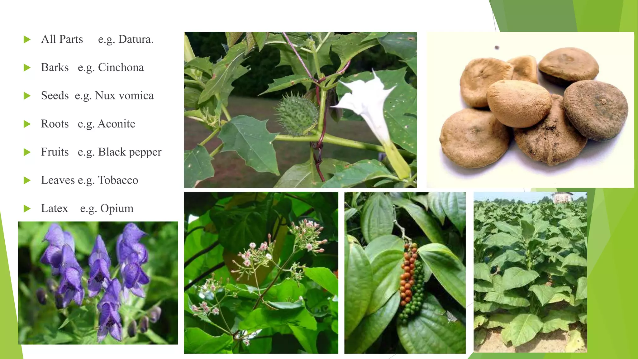  All Parts e.g. Datura.
 Barks e.g. Cinchona
 Seeds e.g. Nux vomica
 Roots e.g. Aconite
 Fruits e.g. Black pepper
 Leaves e.g. Tobacco
 Latex e.g. Opium
 