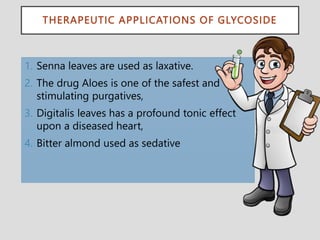 THERAPEUTIC APPLICATIONS OF GLYCOSIDE
1. Senna leaves are used as laxative.
2. The drug Aloes is one of the safest and
stimulating purgatives,
3. Digitalis leaves has a profound tonic effect
upon a diseased heart,
4. Bitter almond used as sedative
 