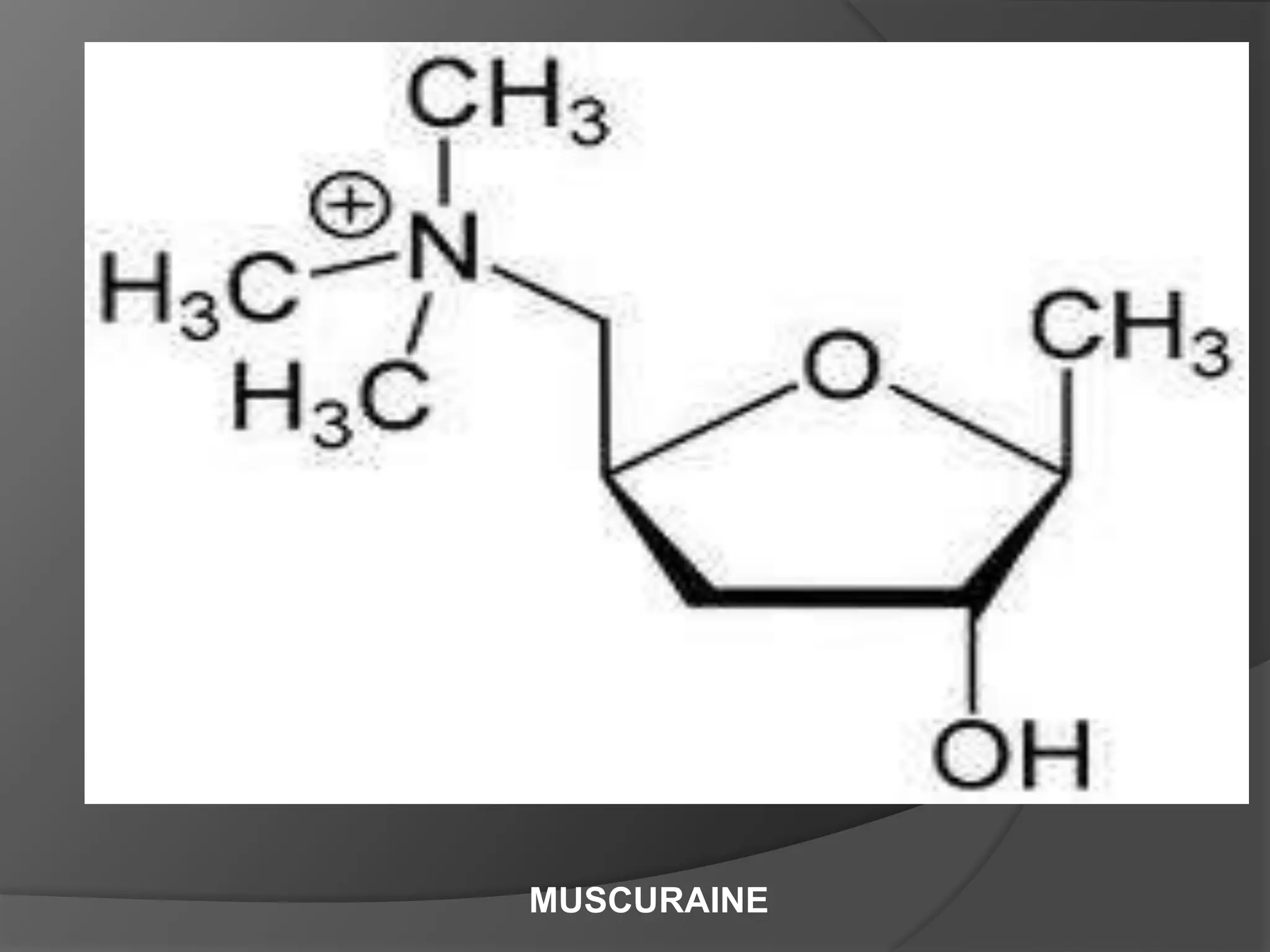 MUSCURAINE
 