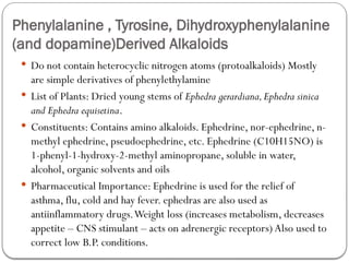 Phenylalanine , Tyrosine, Dihydroxyphenylalanine
(and dopamine)Derived Alkaloids
 Do not contain heterocyclic nitrogen atoms (protoalkaloids) Mostly
are simple derivatives of phenylethylamine
 List of Plants: Dried young stems of Ephedra gerardiana,Ephedra sinica
and Ephedra equisetina.
 Constituents: Contains amino alkaloids. Ephedrine, nor-ephedrine, n-
methyl ephedrine, pseudoephedrine, etc. Ephedrine (C10H15NO) is
1-phenyl-1-hydroxy-2-methyl aminopropane, soluble in water,
alcohol, organic solvents and oils
 Pharmaceutical Importance: Ephedrine is used for the relief of
asthma, flu, cold and hay fever. ephedras are also used as
antiinflammatory drugs.Weight loss (increases metabolism, decreases
appetite – CNS stimulant – acts on adrenergic receptors) Also used to
correct low B.P. conditions.
 