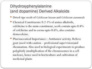 Dihydroxyphenylalanine
(and dopamine) Derived Alkaloids
 Dried ripe seeds of Colchicum luteum and Colchicum autumnale
 Chemical Constituents: 0.2-1% of amino alkaloids,
colchicine is the main constituent, seeds contain upto 0.8%
of colchicine and in corms upto 0.6%, also contains
demecolcine.
 Pharmaceutical Importance: :Antitumor activity. Relieve
gout (used with caution – professional supervision)and
rheumatism.Also used in biological experiments to produce
polyploidy (multiplication of the chromosomes in a cell
nucleus), hence used in horticulture and cultivation of
medicinal plants
 