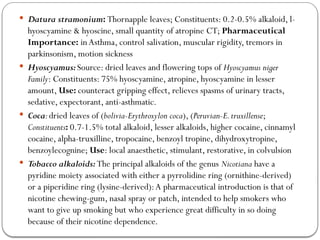  Datura stramonium: Thornapple leaves; Constituents: 0.2-0.5% alkaloid, l-
hyoscyamine & hyoscine, small quantity of atropine CT; Pharmaceutical
Importance: inAsthma, control salivation, muscular rigidity, tremors in
parkinsonism, motion sickness
 Hyoscyamus:Source: dried leaves and flowering tops of Hyoscyamus niger
Family: Constituents: 75% hyoscyamine, atropine, hyoscyamine in lesser
amount, Use: counteract gripping effect, relieves spasms of urinary tracts,
sedative, expectorant, anti-asthmatic.
 Coca:dried leaves of (bolivia-Erythroxylon coca), (Peruvian-E.truxillense;
Constituents: 0.7-1.5% total alkaloid, lesser alkaloids, higher cocaine, cinnamyl
cocaine, alpha-truxilline, tropocaine, benzoyl tropine, dihydroxytropine,
benzoylecognine; Use: local anaesthetic, stimulant, restorative, in colvulsion
 Tobacco alkaloids:The principal alkaloids of the genus Nicotiana have a
pyridine moiety associated with either a pyrrolidine ring (ornithine-derived)
or a piperidine ring (lysine-derived):A pharmaceutical introduction is that of
nicotine chewing-gum, nasal spray or patch, intended to help smokers who
want to give up smoking but who experience great difficulty in so doing
because of their nicotine dependence.
 