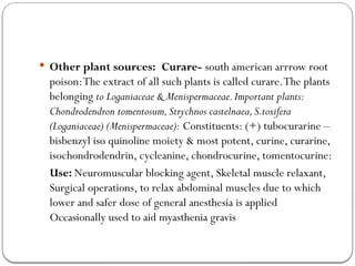  Other plant sources: Curare- south american arrrow root
poison:The extract of all such plants is called curare.The plants
belonging to Loganiaceae & Menispermaceae.Important plants:
Chondrodendron tomentosum,Strychnos castelnaea,S.toxifera
(Loganiaceae) (Menispermaceae): Constituents: (+) tubocurarine –
bisbenzyl iso quinoline moiety & most potent, curine, curarine,
isochondrodendrin, cycleanine, chondrocurine, tomentocurine:
Use: Neuromuscular blocking agent, Skeletal muscle relaxant,
Surgical operations, to relax abdominal muscles due to which
lower and safer dose of general anesthesia is applied
Occasionally used to aid myasthenia gravis
 