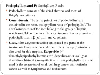 Podophyllum and Podophyllum Resin
 Podophyllum consists of the dried rhizome and roots of
Podophyllum peltatum
 Constituents. The active principles of podophyllum are
contained in the resin, podophyllum resin or‘podophyllin’.The
chief constituents of the root belong to the group of lignans,
which are C18 compounds.The most important ones present are
podophyllotoxin , -peltatin and -peltatin
β α
 Uses. It has a cytotoxic action and is used as a paint in the
treatment of soft venereal and other warts. Podophyllotoxin is
also used for this purpose. Etoposide (4 -
′
demethylepipodophyllotoxin ethylideneglucoside) is a lignan
derivative obtained semi-synthetically from podophyllotoxin and
used in the treatment of small-cell lung cancer and testicular
cancer as well as lymphomas and leukaemias.
 