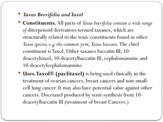  Taxus Brevifolia andTaxol
 Constituents. All parts of Taxus brevifolia contain a wide range
of diterpenoid derivatives termed taxanes, which are
structurally related to the toxic constituents found in other
Taxus species,e.g.the common yew, Taxus baccata.The chief
constituent isTaxol. Other taxanes baccatin III, 10-
deacetyltaxol, 10-deacetylbaccatin III, cephalomannine and
10-deacetylcephalomannine.
 Uses.Taxol® (paclitaxel) is being used clinically in the
treatment of ovarian cancers, breast cancers and non-small-
cell lung cancer. It may also have potential value against other
cancers. Docetaxel produced by semi-synthesis from 10-
deacetylbaccatin III (treatment of breast Cancers.)
 