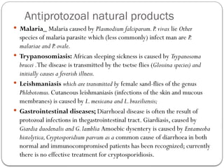 Antiprotozoal natural products
 Malaria_ Malaria caused by Plasmodium falciparum.P.vivax lie Other
species of malaria parasite which (less commonly) infect man are P.
malariae and P.ovale.
 Trypanosomiasis: African sleeping sickness is caused by Trypanosoma
brucei .The disease is transmitted by the tsetse flies (Glossina species) and
initially causes a feverish illness.
 Leishmaniasis which are transmitted by female sand-flies of the genus
Phlebotomus.Cutaneous leishmaniasis (infections of the skin and mucous
membranes) is caused by L.mexicana and L.braziliensis;
 Gastrointestinal diseases; Diarrhoeal disease is often the result of
protozoal infections in thegastrointestinal tract. Giardiasis, caused by
Giardia duodenalis and G.lamblia Amoebic dysentery is caused by Entameoba
histolytica,Cryptosporidium parvum as a common cause of diarrhoea in both
normal and immunocompromised patients has been recognized; currently
there is no effective treatment for cryptosporidiosis.
 