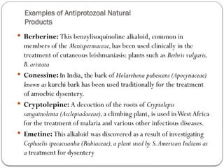 Examples of Antiprotozoal Natural
Products
 Berberine: This benzylisoquinoline alkaloid, common in
members of the Menispermaceae,has been used clinically in the
treatment of cutaneous leishmaniasis: plants such as Berbris vulgaris,
B.aristata
 Conessine: In India, the bark of Holarrhena pubescens (Apocynaceae)
known as kurchi bark has been used traditionally for the treatment
of amoebic dysentery.
 Cryptolepine: A decoction of the roots of Cryptolepis
sanguinolenta (Asclepiadaceae),a climbing plant, is used inWest Africa
for the treatment of malaria and various other infectious diseases.
 Emetine: This alkaloid was discovered as a result of investigating
Cephaelis ipecacuanha (Rubiaceae),a plant used by S.American Indians as
a treatment for dysentery
 