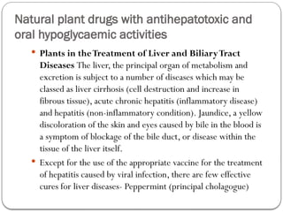 Natural plant drugs with antihepatotoxic and
oral hypoglycaemic activities
 Plants in theTreatment of Liver and BiliaryTract
Diseases The liver, the principal organ of metabolism and
excretion is subject to a number of diseases which may be
classed as liver cirrhosis (cell destruction and increase in
fibrous tissue), acute chronic hepatitis (inflammatory disease)
and hepatitis (non-inflammatory condition). Jaundice, a yellow
discoloration of the skin and eyes caused by bile in the blood is
a symptom of blockage of the bile duct, or disease within the
tissue of the liver itself.
 Except for the use of the appropriate vaccine for the treatment
of hepatitis caused by viral infection, there are few effective
cures for liver diseases- Peppermint (principal cholagogue)
 