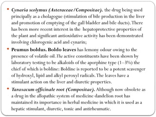  Cynaria scolymus (Asteraceae/Compositae). the drug being used
principally as a cholagogue (stimulation of bile production in the liver
and promotion of emptying of the gall bladder and bile ducts).There
has been more recent interest in the hepatoprotective properties of
the plant and significant antioxidative activity has been demonstrated
involving chlorogenic acid and cynarin;
 Peumus boldus. Boldo leaves has lemony odour owing to the
presence of volatile oil.The active constituents have been shown by
laboratory testing to be alkaloids of the aporphine type (1–3%) the
chief of which is boldine: Boldine is reported to be a potent scavenger
of hydroxyl, lipid and alkyl peroxyl radicals.The leaves have a
stimulant action on the liver and diuretic properties.
 Taraxacum officinale root (Compositae). Although now obsolete as
a drug in the allopathic system of medicine dandelion root has
maintained its importance in herbal medicine in which it is used as a
hepatic stimulant, diuretic, tonic and antirheumatic.
 