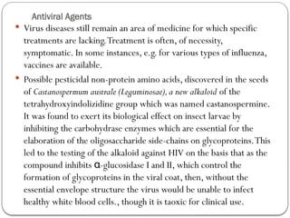 Antiviral Agents
 Virus diseases still remain an area of medicine for which specific
treatments are lacking.Treatment is often, of necessity,
symptomatic. In some instances, e.g. for various types of influenza,
vaccines are available.
 Possible pesticidal non-protein amino acids, discovered in the seeds
of Castanospermum australe (Leguminosae),a new alkaloid of the
tetrahydroxyindolizidine group which was named castanospermine.
It was found to exert its biological effect on insect larvae by
inhibiting the carbohydrase enzymes which are essential for the
elaboration of the oligosaccharide side-chains on glycoproteins.This
led to the testing of the alkaloid against HIV on the basis that as the
compound inhibits -glucosidase I and II, which control the
α
formation of glycoproteins in the viral coat, then, without the
essential envelope structure the virus would be unable to infect
healthy white blood cells., though it is taoxic for clinical use.
 