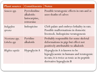 Plant source Constituents Notes
Senecio spp. Pyrrolizidine
alkaloids:
lasiocarpine,
retrorsine
Possible teratogenic effects in rats and in
utero deaths of calves
Indigofera
spicata
Indospicine Cleft palate and embryo lethality in rats.
Possible malformations in domestic
livestock. Indospicine teratogenesis
Nicotiana spp,
Lobelia spp
Pyridine
alkaloids
Probably responsible for some skeletal
deformations in pigs but effect not
positively attributable to alkaloids
Blighia sapida Hypoglycin A Hypoglycin A is known to be
hypoglycaemic in humans and teratogenic
in rats; it is twice as toxic as its peptide
derivative hypoglycin B
 
