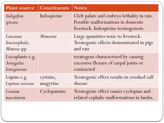 Plant source Constituents Notes
Indigofera
spicata
Indospicine Cleft palate and embryo lethality in rats.
Possible malformations in domestic
livestock. Indospicine teratogenesis
Leucaena
leucocephala,
Mimosa spp.
Mimosine Large quantities toxic to livestock.
Teratogenic effects demonstrated in pigs
and rats
Locoplants e.g.
Astragalus
lentiginosus
teratogens characterized by causing
excessive flexure of carpal joints or
contracted
Lupins e.g.
Lupinus sericeus
cytisine,
anagyrine
Teratogenic effect results in crooked calf
disease
Conium
maculatum
Cyclopamine Teratogenic effect causes cyclopian and
related cephalic malformations in lambs.
 